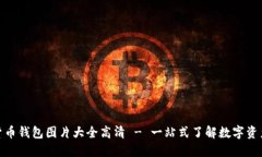 数字货币钱包图片大全高