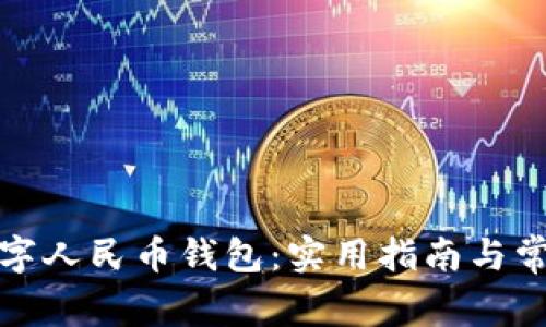 如何建设数字人民币钱包：实用指南与常见问题解答