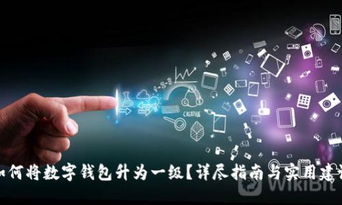 如何将数字钱包升为一级？详尽指南与实用建议