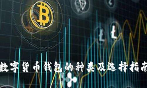 数字货币钱包的种类及选择指南