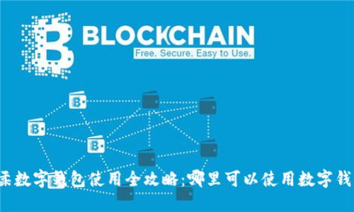怀柔数字钱包使用全攻略：哪里可以使用数字钱包?