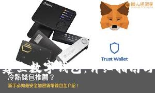 如何安全建立数字钱包：详细指南与注意事项