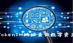 如何通过TokenIM地址查询数