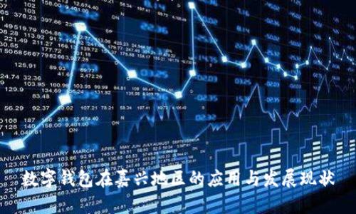 数字钱包在嘉兴地区的应用与发展现状
