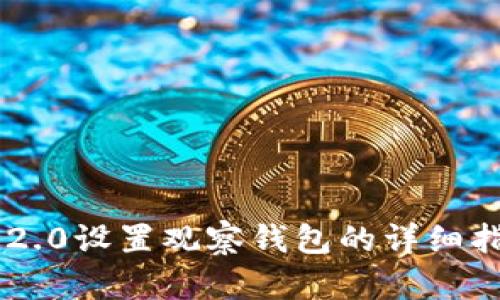 im2.0设置观察钱包的详细指南
