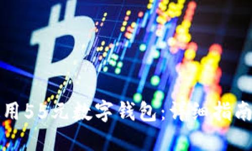 如何使用55元数字钱包：详细指南与技巧