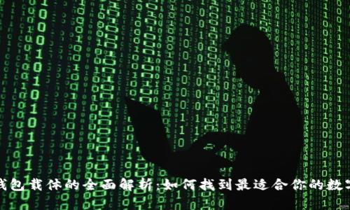 数字钱包载体的全面解析：如何找到最适合你的数字钱包
