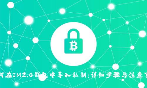 如何在IM2.0钱包中导入私钥：详细步骤与注意事项
