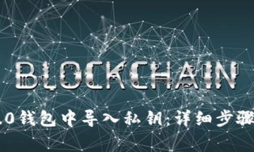 如何在IM2.0钱包中导入私钥：详细步骤与注意事项