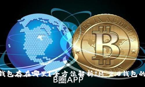  IM 2.0钱包存在哪里？全方位解析IM 2.0钱包的存储方式