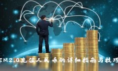 IM2.0充值人民币的详细指南与技巧