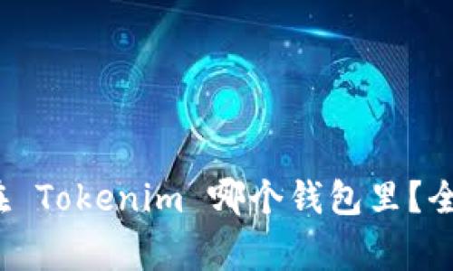 Algo 应该放在 Tokenim 哪个钱包里？全面分析与推荐