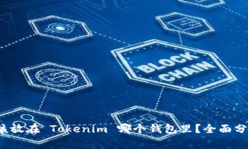 Algo 应该放在 Tokenim 哪个钱包里？全面分析与推荐