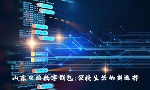 山东日照数字钱包：便捷生活的新选择