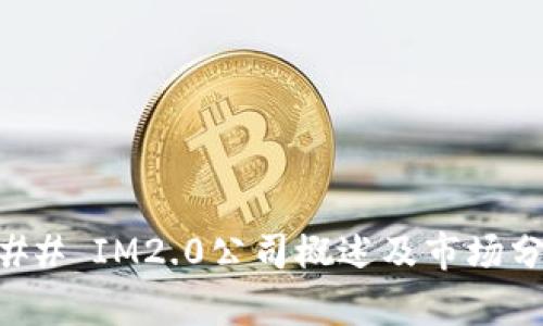 ### IM2.0公司概述及市场分析