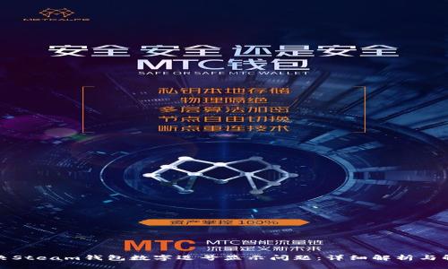 如何解决Steam钱包数字逗号显示问题：详细解析与解决方案