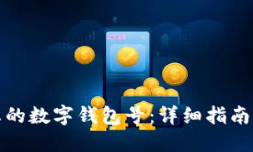 如何查询您的数字钱包号：详细指南与实用技巧