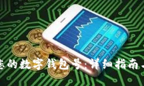 如何查询您的数字钱包号：详细指南与实用技巧