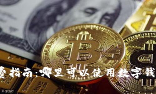 数字钱包消费指南：哪里可以使用数字钱包进行支付？