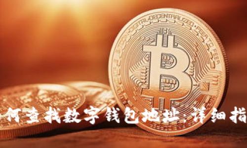如何查找数字钱包地址：详细指南