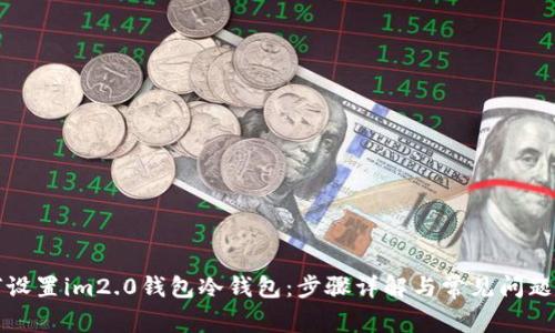 如何设置im2.0钱包冷钱包：步骤详解与常见问题解答