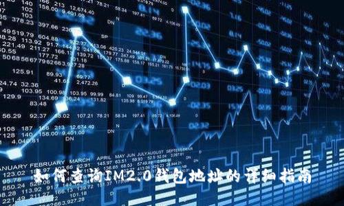 如何查询IM2.0钱包地址的详细指南