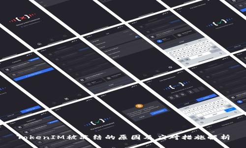 TokenIM被冻结的原因及应对措施解析