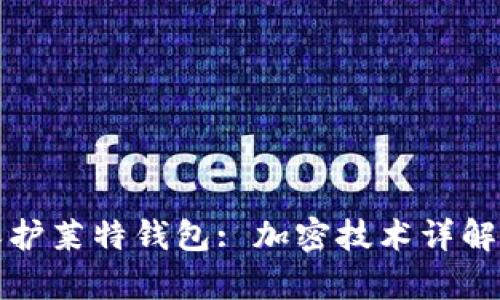 如何有效保护莱特钱包: 加密技术详解与最佳实践