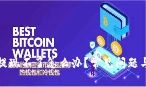 数字货币钱包提现不了怎么办？常见问题与解决方案分析
