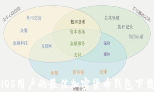 
适合iOS用户的最佳加密货币钱包下载指南