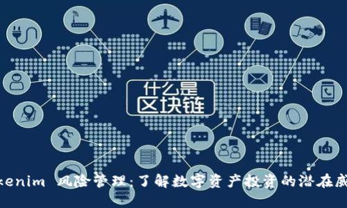 Tokenim 风险管理：了解数字资产投资的潜在威胁