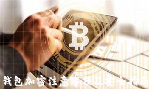 
钱包加密注意事项及安全指南