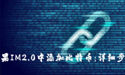 如何在苹果IM2.0中添加比特币：详细步骤与说明