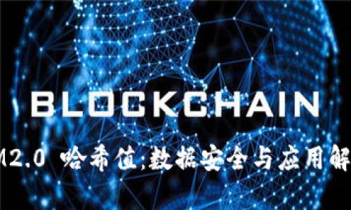 IM2.0 哈希值：数据安全与应用解析