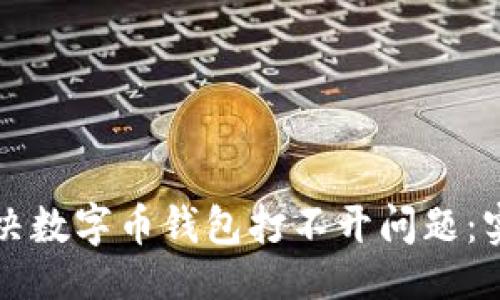 ```xml
如何解决数字币钱包打不开问题：实用指南
