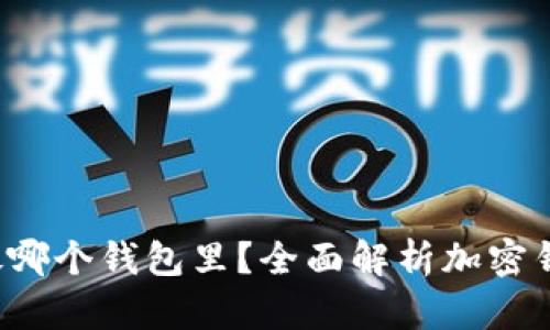  加密货币放哪个钱包里？全面解析加密钱包选购指南