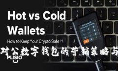 全面解析对公数字钱包的