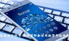 数字钱包送柚子账号：如