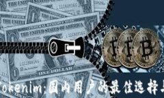 全面解析Tokenim：国内用户