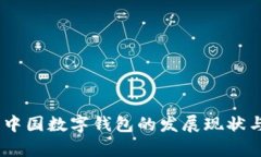:全面解析中国数字钱包的