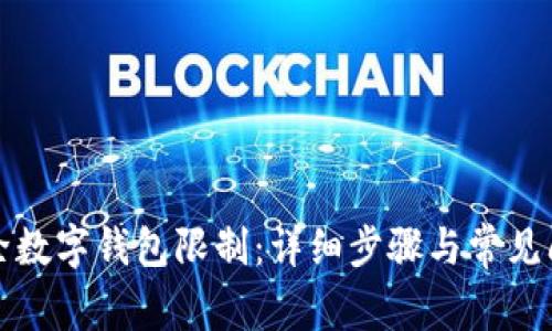 如何解除数字钱包限制：详细步骤与常见问题解答