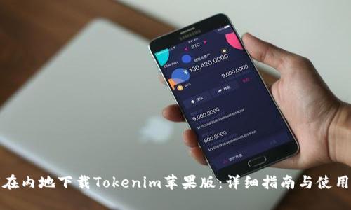 如何在内地下载Tokenim苹果版：详细指南与使用技巧