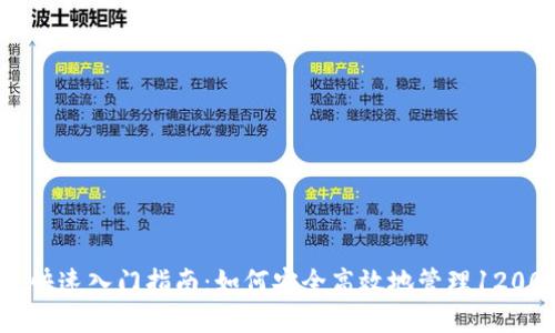 数字钱包快速入门指南：如何安全高效地管理12000笔交易