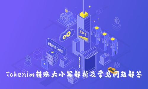 Tokenim转账大小写解析及常见问题解答