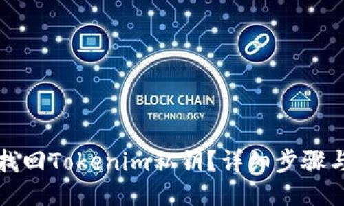 如何找回Tokenim私钥？详细步骤与技巧