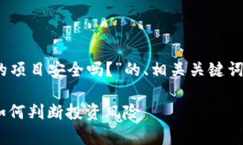 以下是关于“Tokenim里面的项目安全吗？”的、相关关键词、内容大纲和问题详细介绍。

Tokenim项目安全性分析：如何判断投资风险