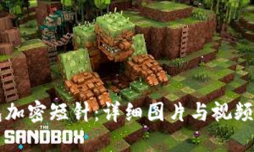 钱包加密短针：详细图片与视频指南