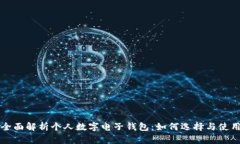 全面解析个人数字电子钱