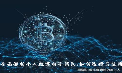全面解析个人数字电子钱包：如何选择与使用
