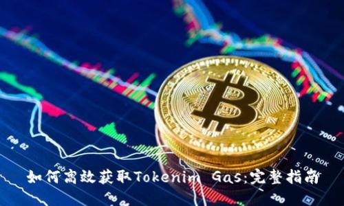 如何高效获取Tokenim Gas：完整指南